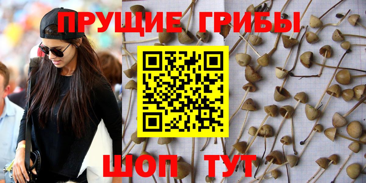 Галлюциногенные грибы GOLDEN TEACHER Белогорск
