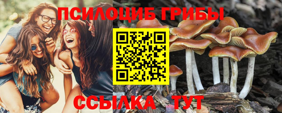Галлюциногенные грибы Cubensis  Вход с VPN  купить наркотик  Белогорск 